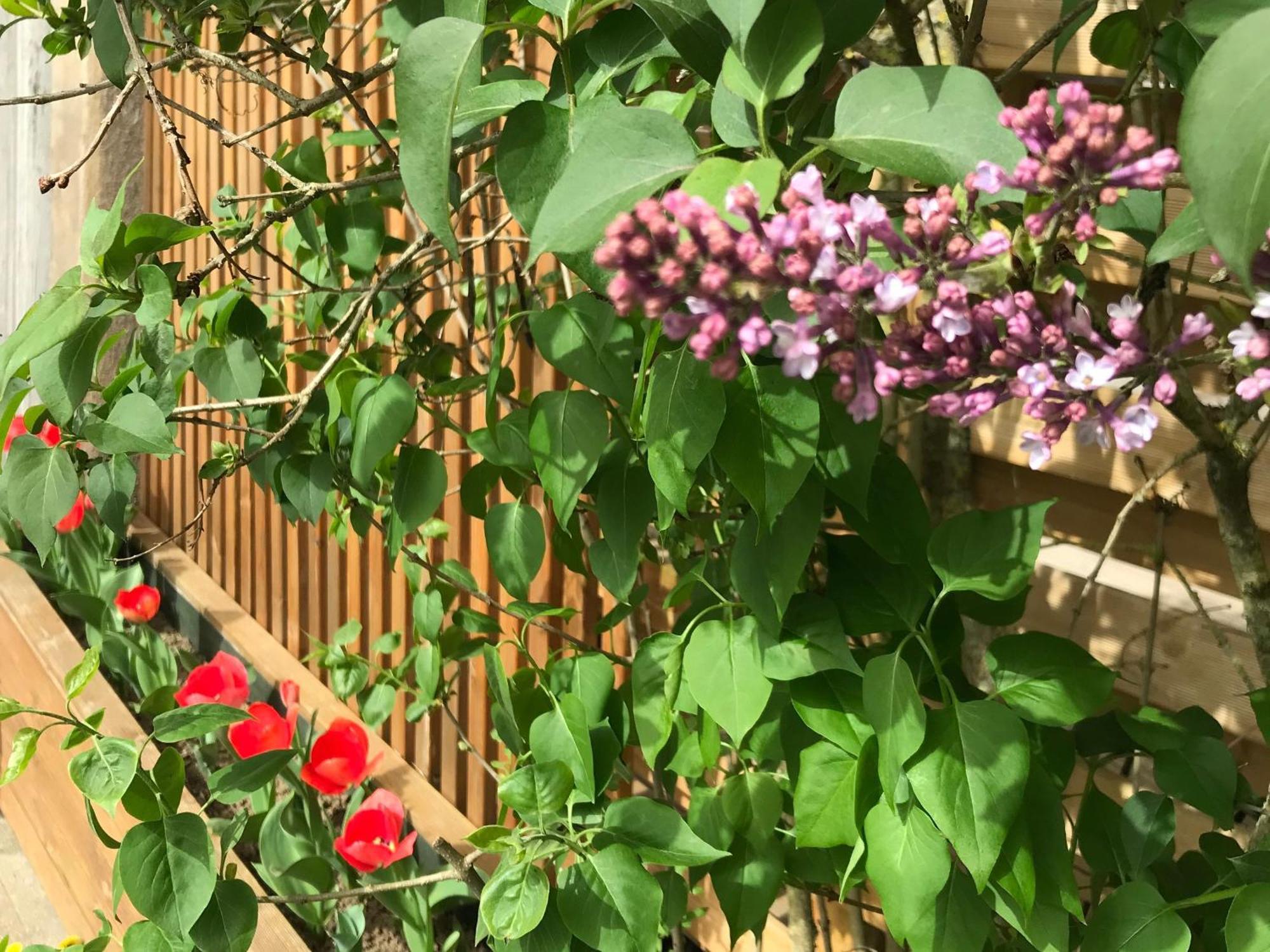 Gite Renove Avec Jardin, Proche Loisirs Et Commerces, A Une Heure De Nancy Et Metz - Fr-1-584-168 Autrepierre Ngoại thất bức ảnh